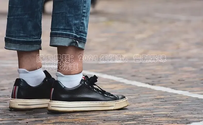 意昂意昂体育入口百度学术除臭男鞋：2024 年爆款，告别异味
，享受清爽