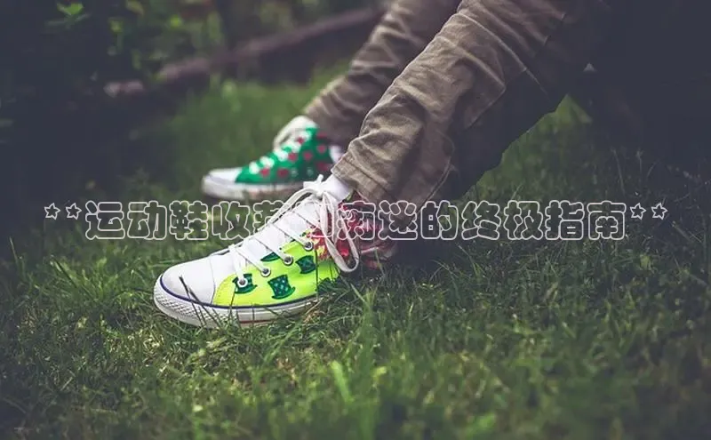 意昂体育百度智能门户**运动鞋收藏和痴迷的终极指南**